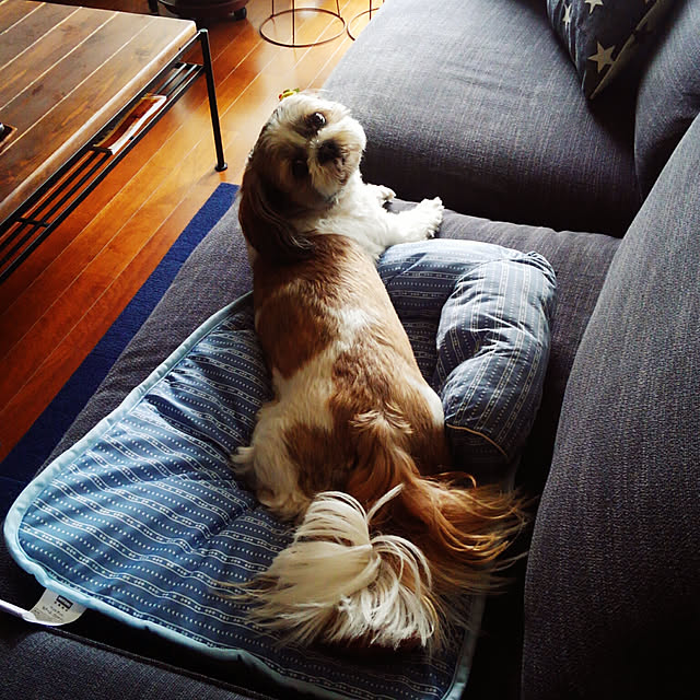 anzmama0404さんの実例写真
