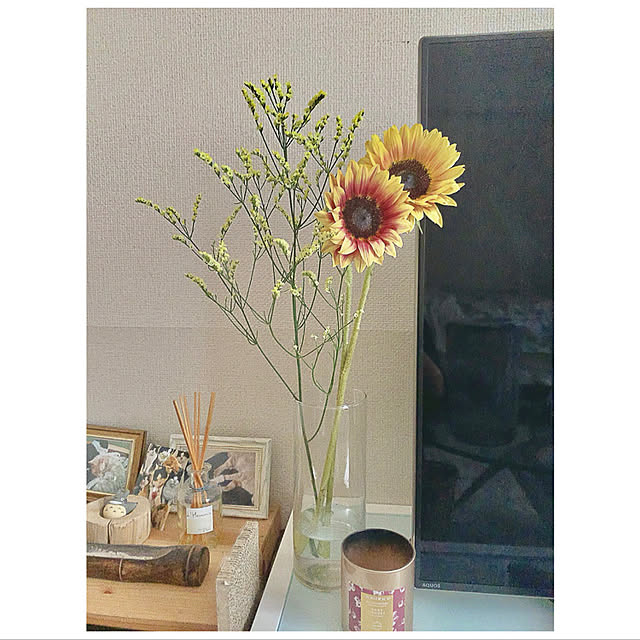 ponchu37さんの実例写真