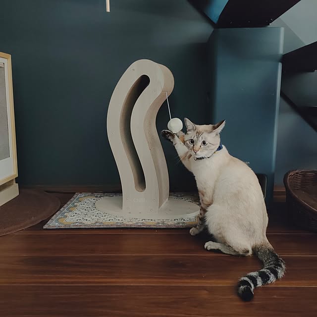 Atelier_tamakiさんの部屋
