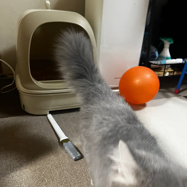 nasuさんの実例写真