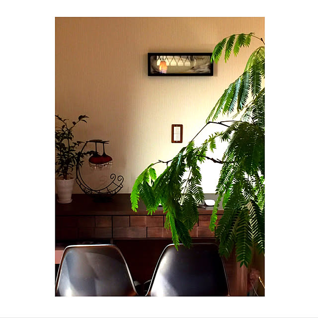 Miho.Tさんの実例写真