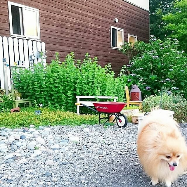 naho81078さんの実例写真