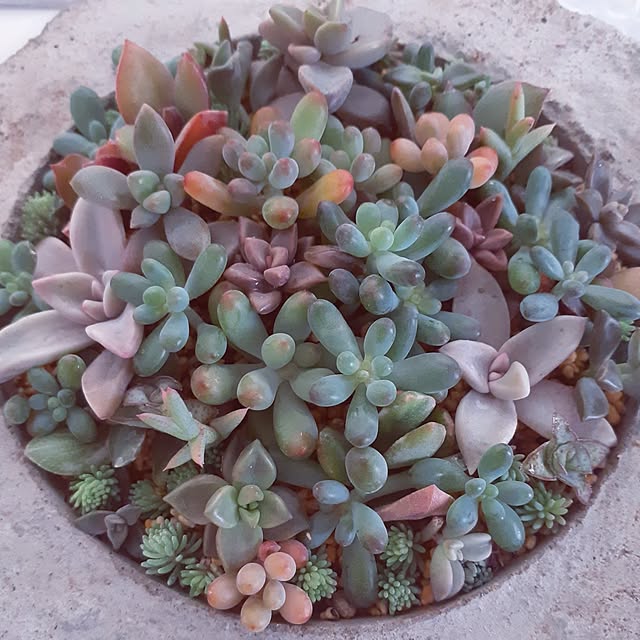 k.and-3さんの実例写真