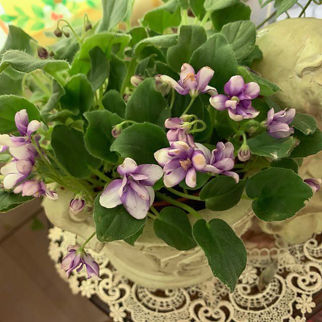 AYUKOさんの実例写真