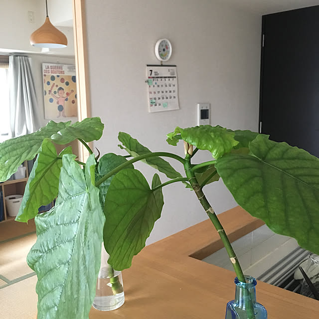 krkrさんの実例写真