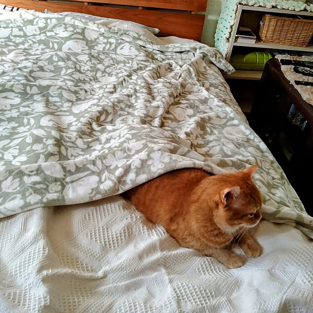 CHIKAさんの部屋
