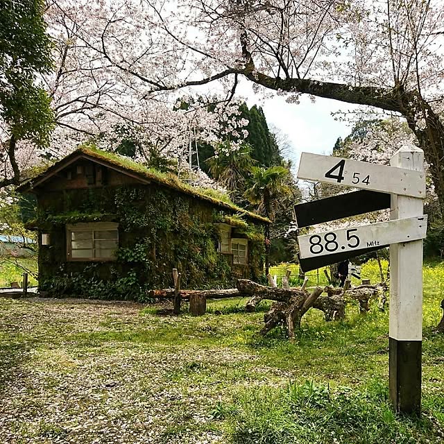 katsuさんの実例写真