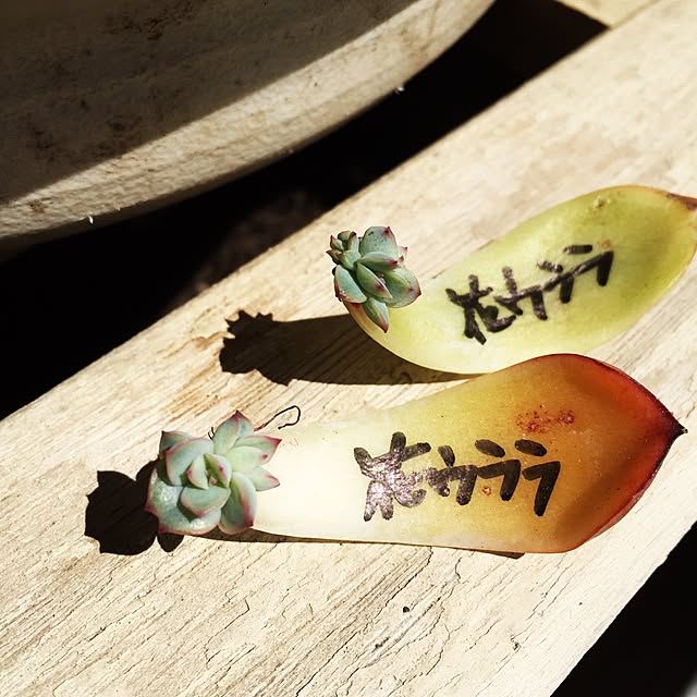 8717さんの実例写真