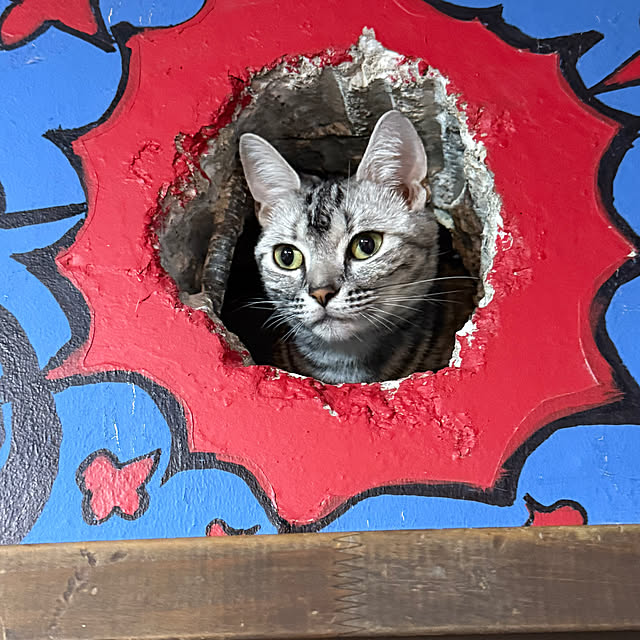 yuutamamehimaさんの部屋