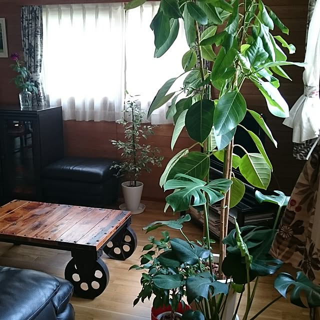 akemiroomさんの実例写真