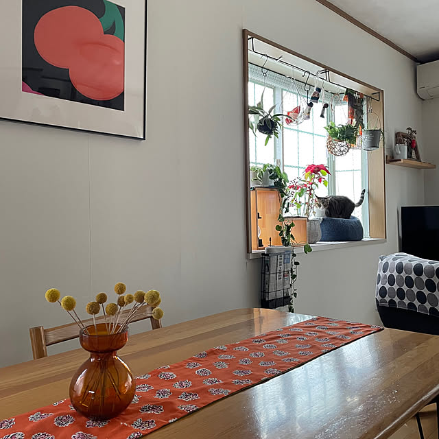 nobikoさんの部屋