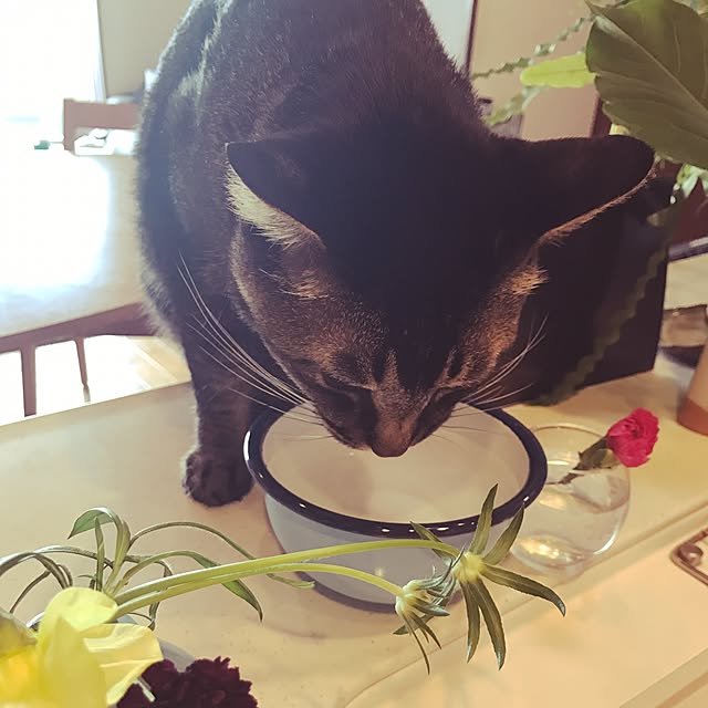 noraさんの実例写真