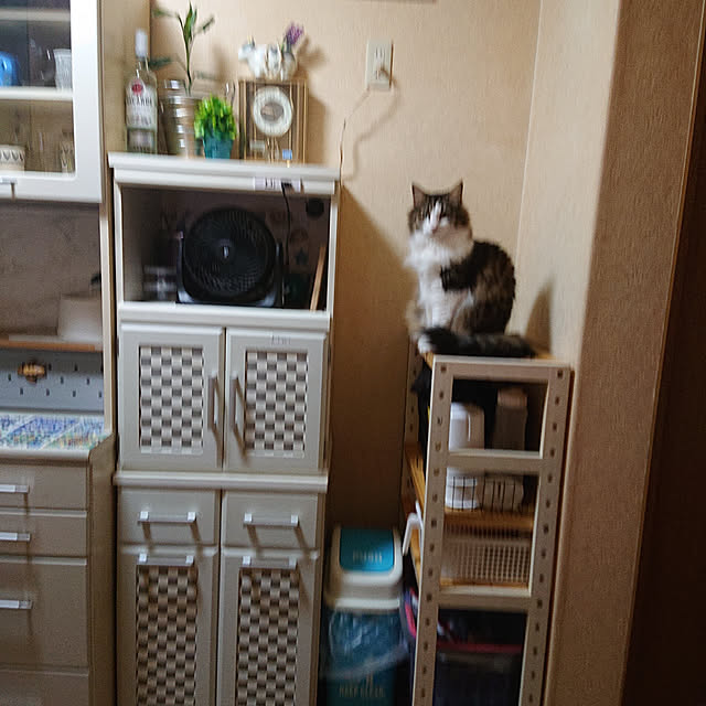 kona.rikkoさんの実例写真