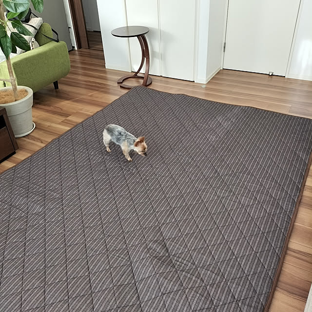 coco0.84.さんの実例写真