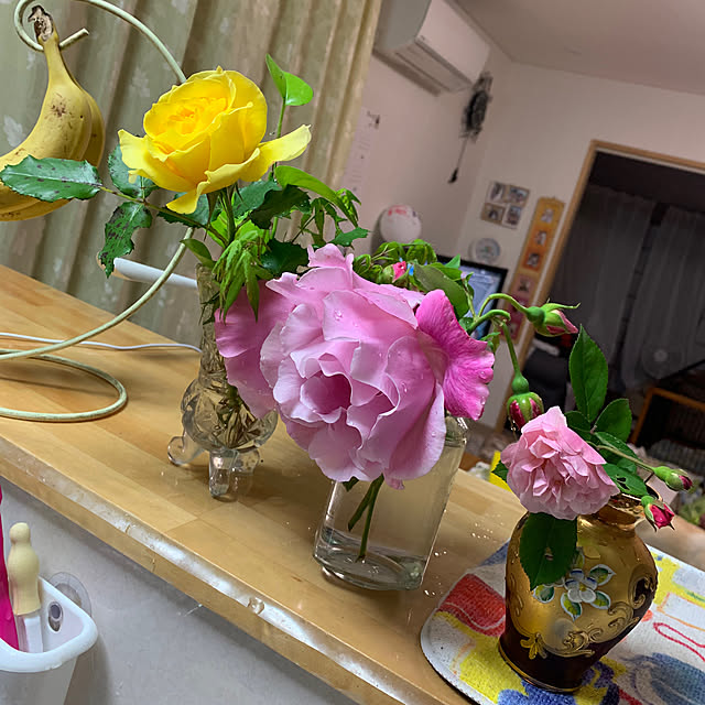 moyuhiさんの実例写真