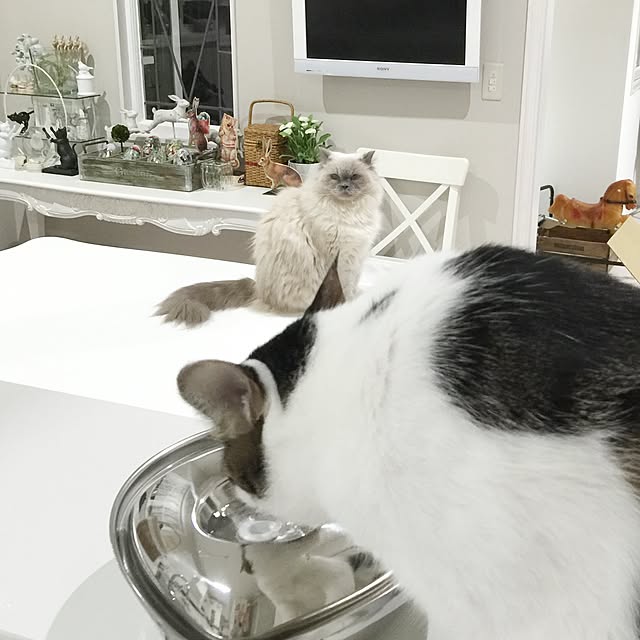 yuchiさんの実例写真