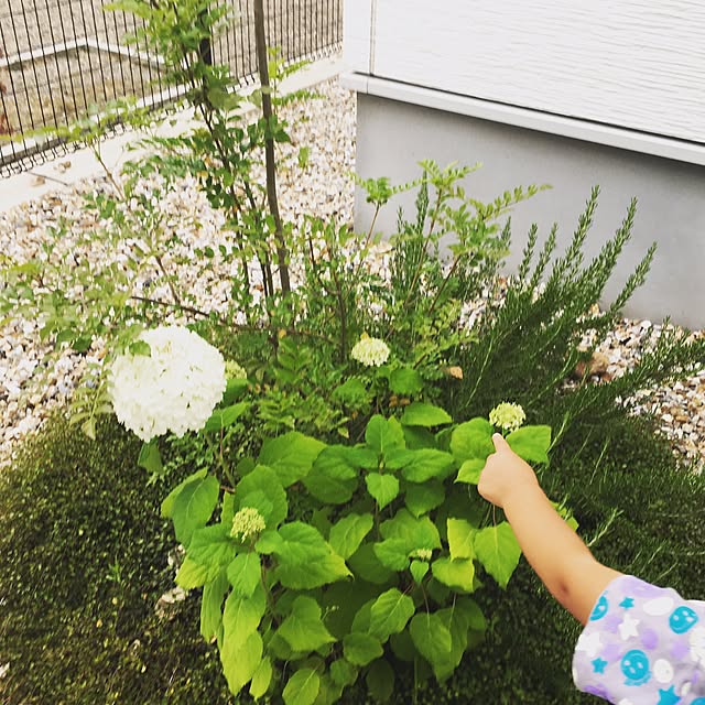 umiclipさんの実例写真