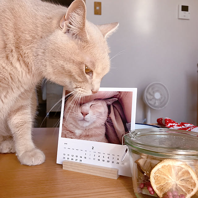 nicoさんの実例写真