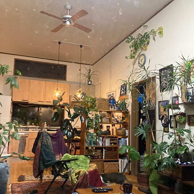 Aikoさんの実例写真