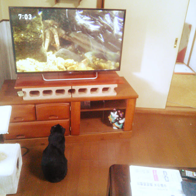 Tomopさんの実例写真