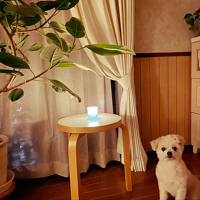 Kekoponさんの実例写真