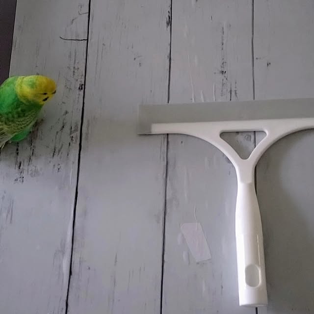 toratanさんの部屋