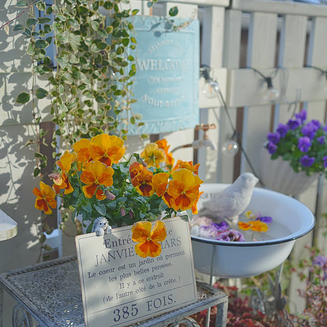 KNさんの実例写真