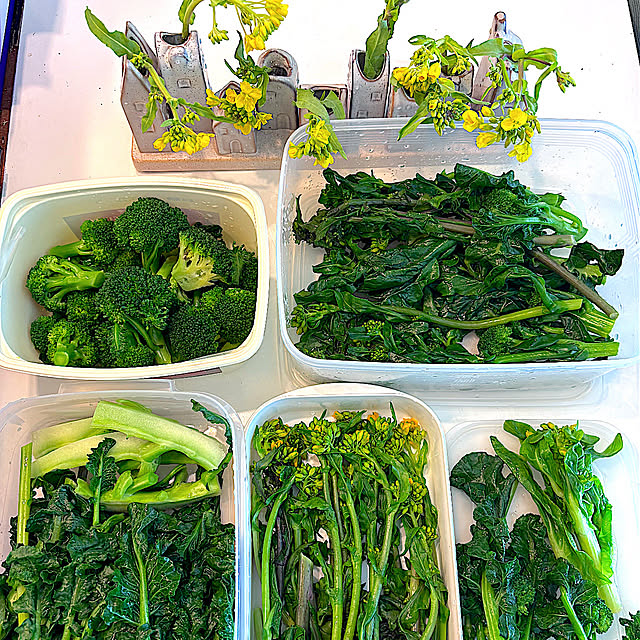 syutmmさんの部屋