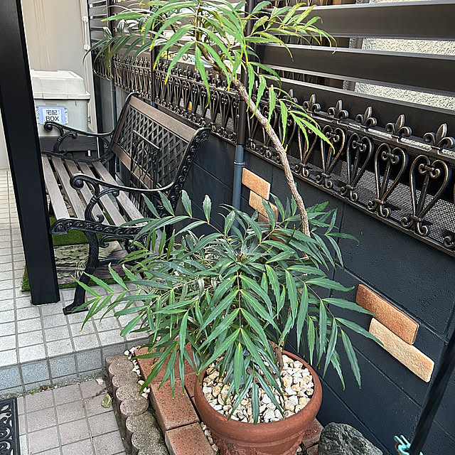 makaさんの部屋