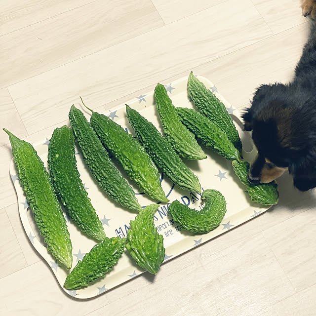ohanaさんの実例写真