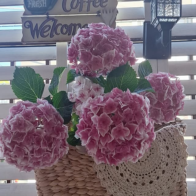 moko.7525himeさんの実例写真
