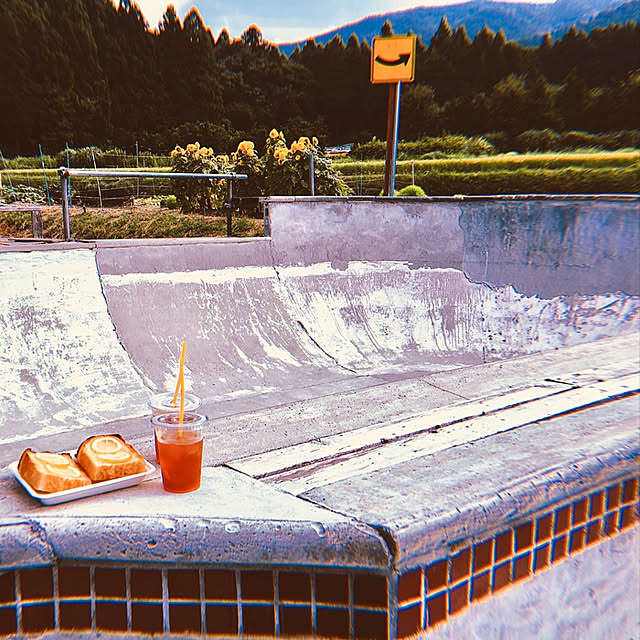 実例写真