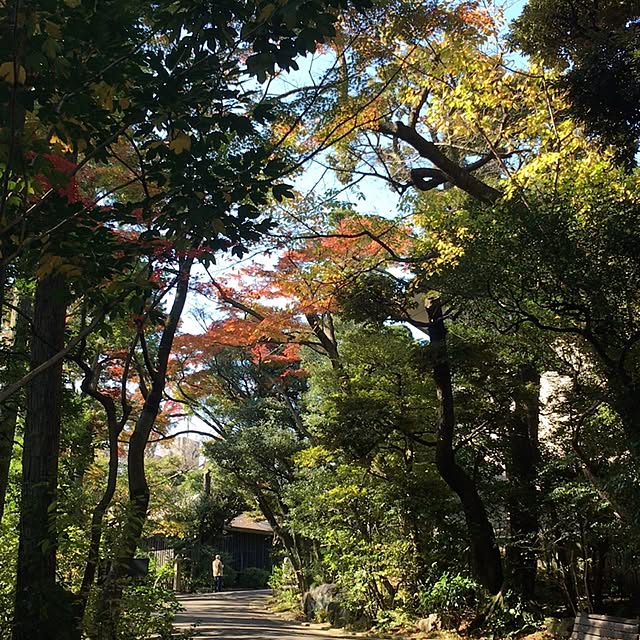 Norikoさんの実例写真