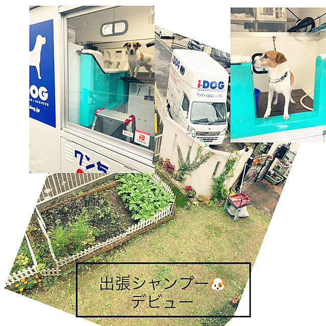 kittyさんの実例写真