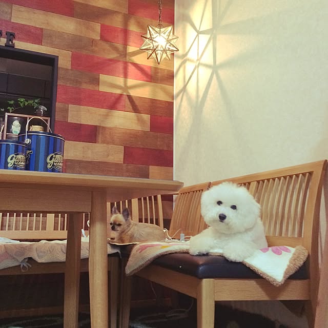 ANNAさんの実例写真