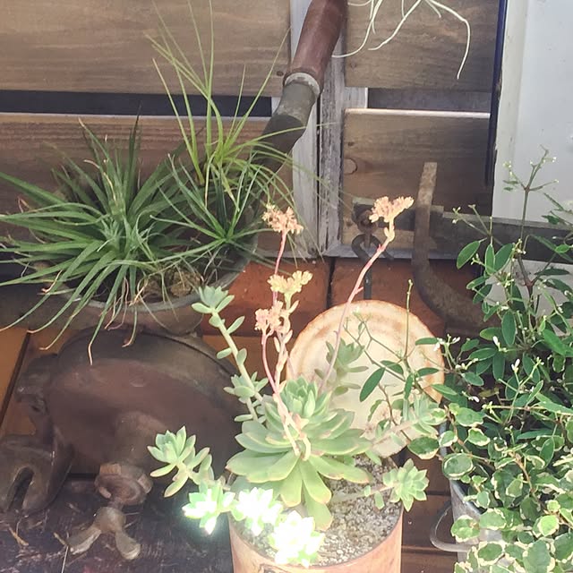 natulove0418さんの実例写真