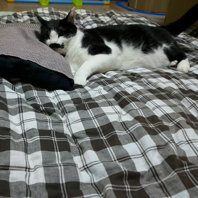 oliveさんの実例写真