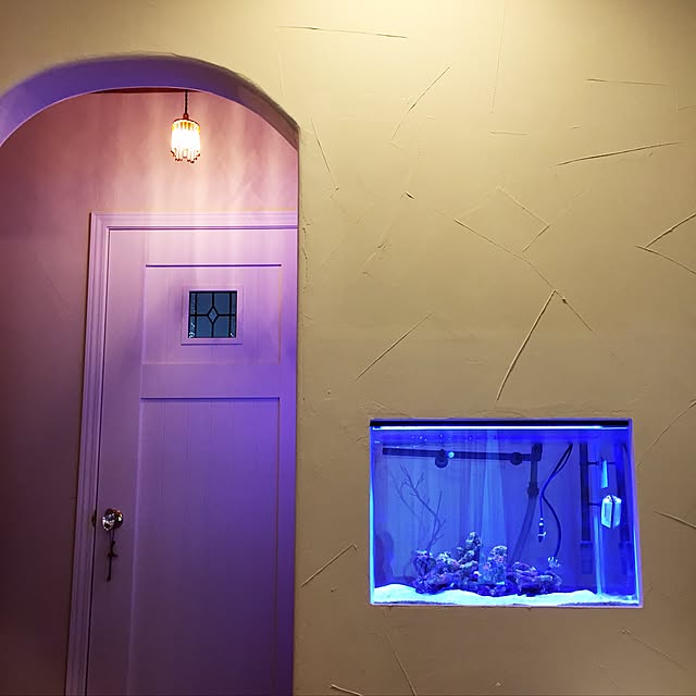 shiさんの実例写真