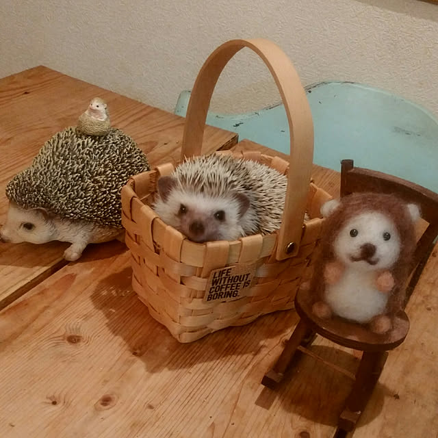 tomominさんの実例写真