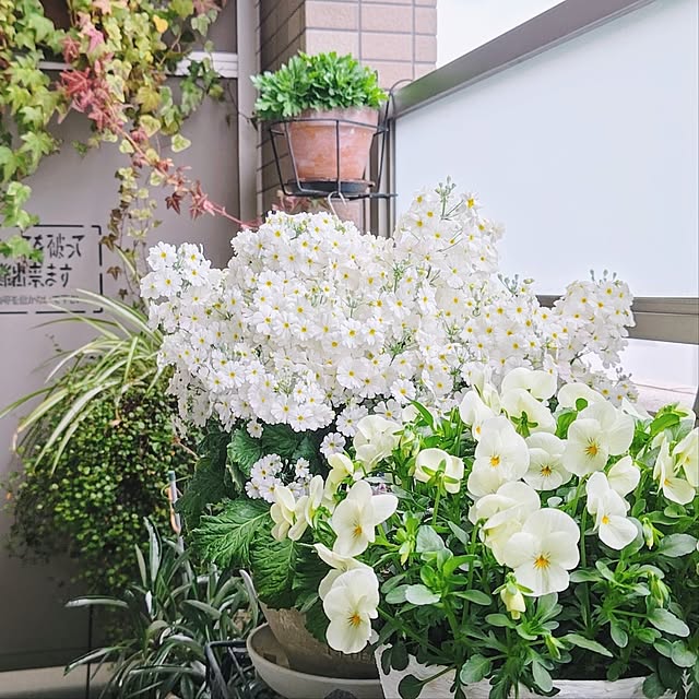 YuriYuriさんの部屋