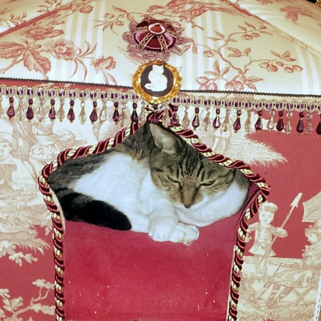 emmyyさんの実例写真