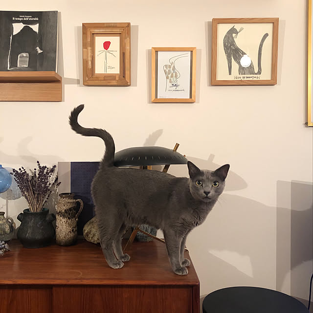 tomokoさんの実例写真
