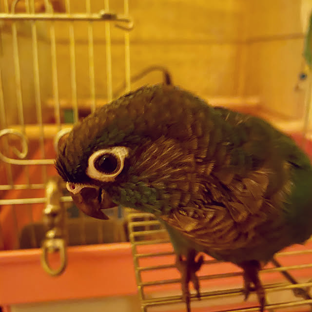 mさんの実例写真