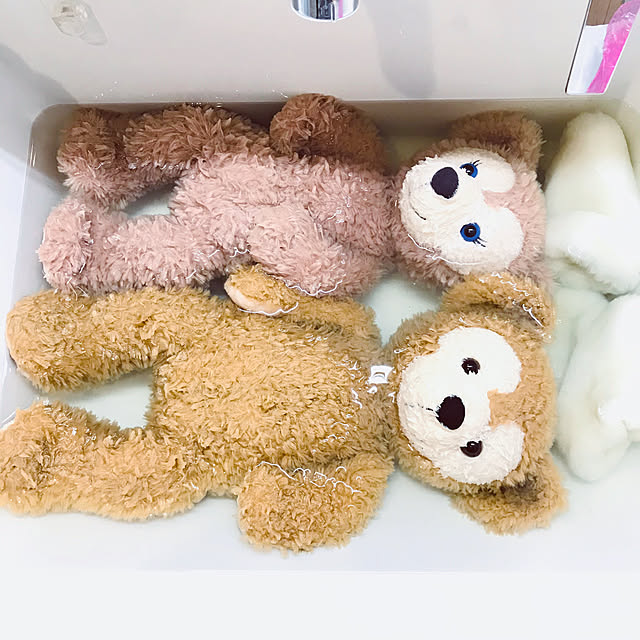 nonさんの実例写真