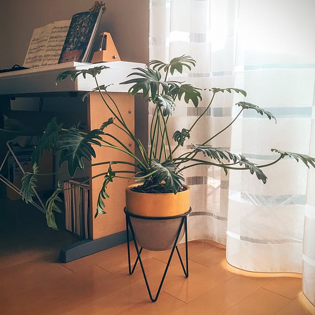 ffgreenさんの実例写真