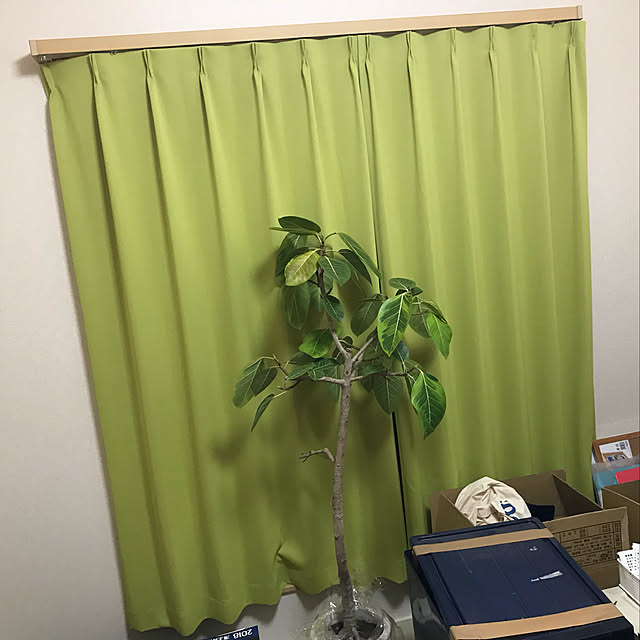 Ichiroさんの実例写真