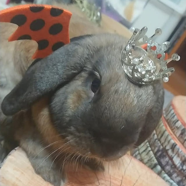 mariaさんの実例写真