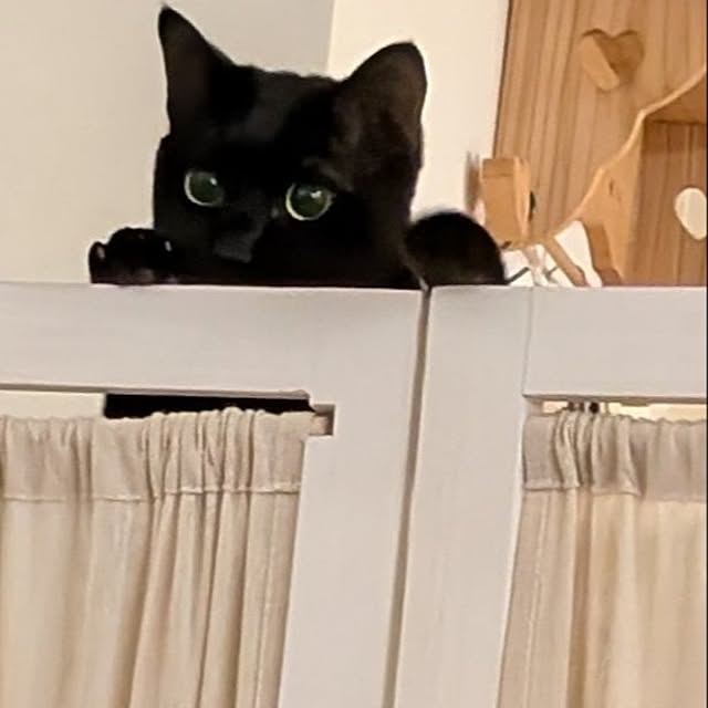 prepreさんの実例写真