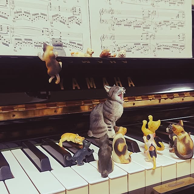 NOAHさんの実例写真