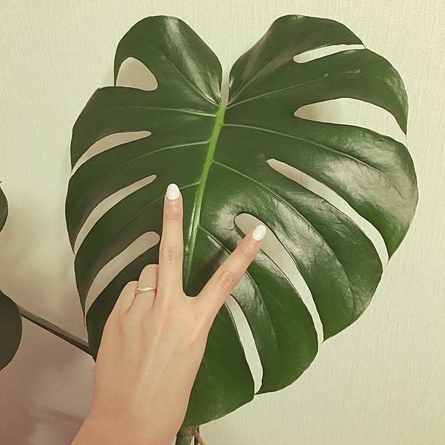 yu_さんの実例写真